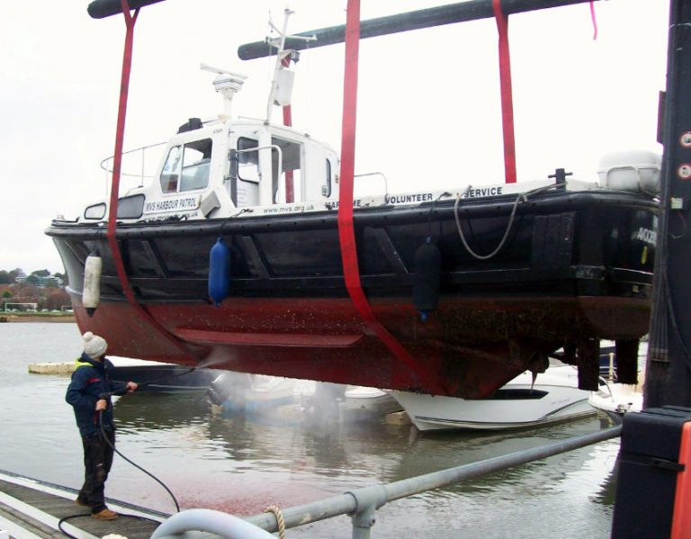 Some tender loving care for Avocet